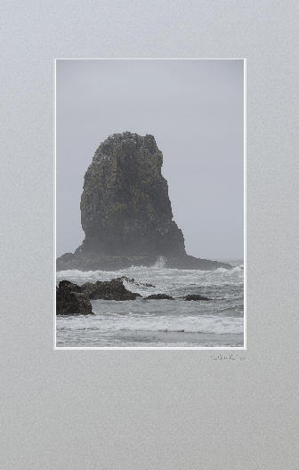 One of the Needles around Haystack Rock at Cannon Beach